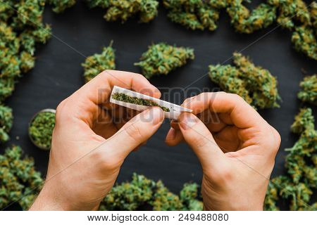 Grinder A Lot Ofx Marijuana, Fresh Buds Of Cannabis Many Weed. Copy Spase Copy-space