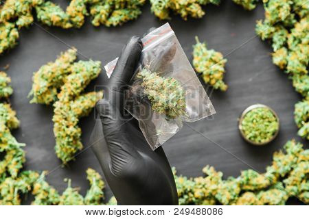 Grinder A Lot Ofx Marijuana, Fresh Buds Of Cannabis Many Weed. Copy Spase Copy-space