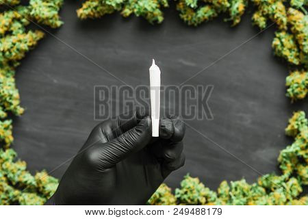 Grinder A Lot Ofx Marijuana, Fresh Buds Of Cannabis Many Weed. Copy Spase Copy-space