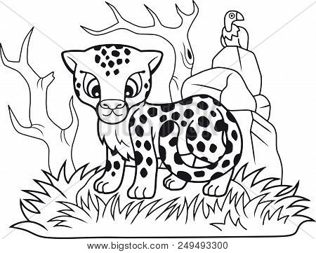 Cartoon Cute Little Cheetah, Funny Illustration, Coloring Book