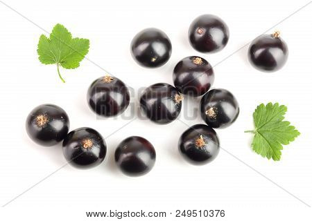 Black Currant With Lef Isolated On White Background. Top View. Flat Lay Pattern.