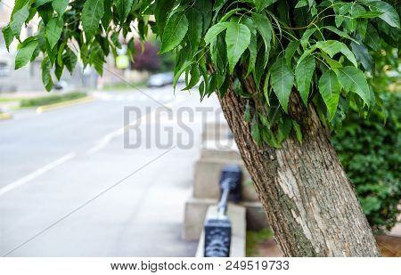 Black, Forged, Metal Railing On A Low Sandstone Wall Recede Into The Distance. Grass And Trees Can B