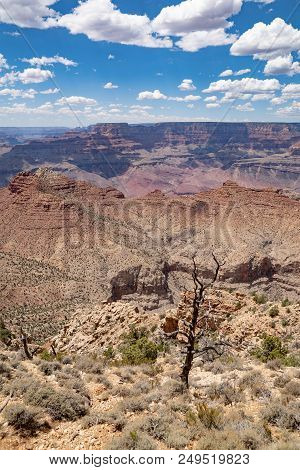Grand Canyon Nature Footage In Arizona Usa Shot During The Semmer