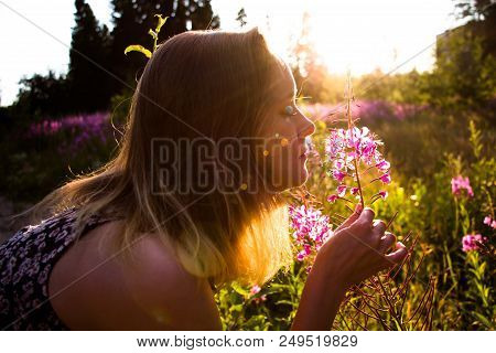 On A Sunny Meadow Among The Flowers, On A Beautiful Sunny, Summer And Warm Day, The Girl Gets A Ligh