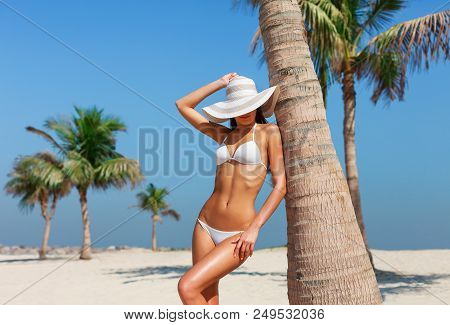 Sexy Beautiful Tanned Woman Relaxing And Sunbathing In Bikini On Sea Background And Palm. Panoramic 