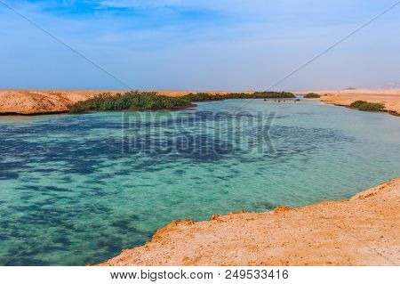 Sea Coast And Mangroves In The Ras Mohammed National Park. Famous Travel Destionation In Desert. Sha
