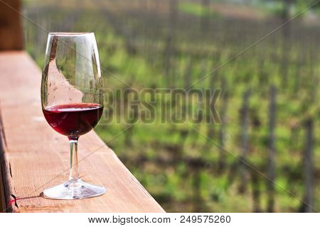 Glasses With Wine. Red, Pink, White Wine In Glasses.