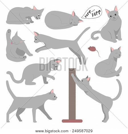 Cute Cartoon Grey Cat In Different Poses. Vector Illustration.