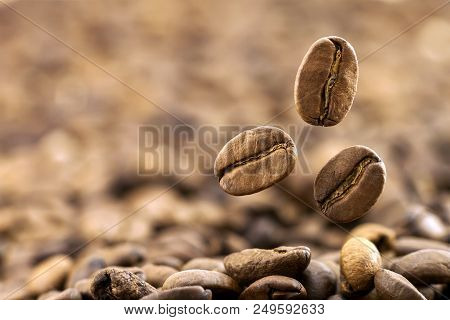 Flying Fresh Coffee Beans As A Background With Copy Space. Coffee Beans Falling Down
