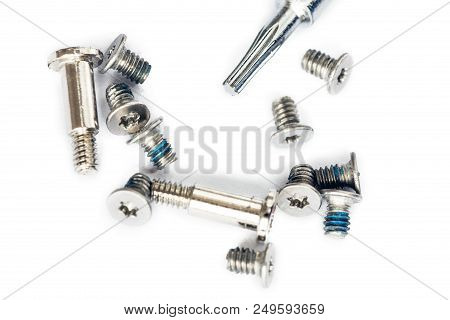 Small Laptop Screws And Screwdriver Isoltaed On White Background. Electronics Repair Workshop Concep