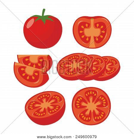 Set Of Illustration Sliced Tomatoes On White Background