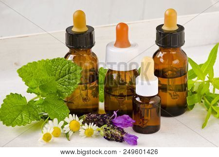 Alternative Medicine. Herbal Therapy. Chamomile, Melissa, Lavender And Lemon Verbena Essential Oils.