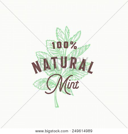 Natural Mint Abstract Vector Sign, Symbol Or Logo Template. Hand Drawn Mint Branch Leaves With Premi