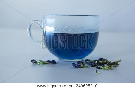 Blue Butterfly Pea Tea From Flowers Clitoria Close-up. Blue Thai Tea For Weight Loss - A Very Unusua