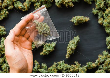 Grinder A Lot Ofx Marijuana, Fresh Buds Of Cannabis Many Weed. Copy Spase Copy-space