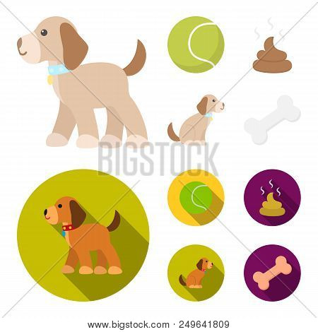 Dog Sitting, Dog Standing, Tennis Ball, Feces. Dog Set Collection Icons In Cartoon, Flat Style Vecto