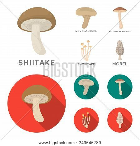 Shiitake, Brown Cap Boletus, Enokitake, Milk. Set Collection Icons In Cartoon, Flat Style Vector Sym