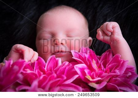 The First Photo Shoot For This Newborn Baby Girl