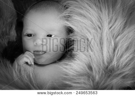 The First Photos Hoot For This Newborn Baby Girl
