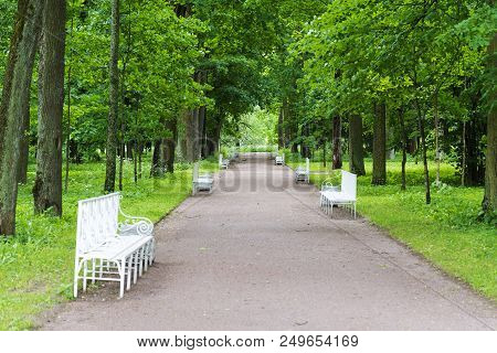 Summer Park With White Benches And Footpaths.