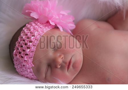 The First Photo Shoot For This Newborn Baby Girl