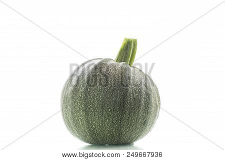 Big Round Zucchini On White Background - Courgette