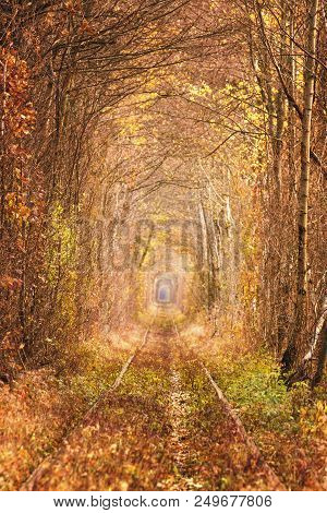 Fall Autumn Tunnel Of Love In Klevan Ukraine.
