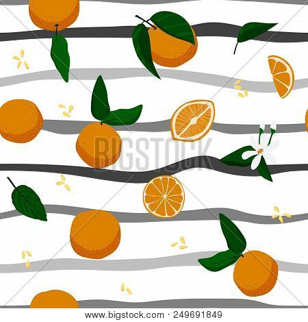 Seamless Oranges And Stripes Hand Drawn Pattern. Stock Vector