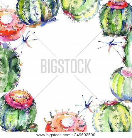 Wildflower Green Cactus. Floral Botanical Flower. Frame Border Ornament Square. Aquarelle Wildflower