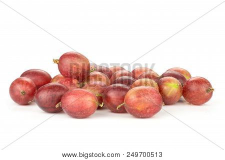 Lot Of Whole Fresh Red Gooseberry Hinnomaki Variety Stack Isolated On White