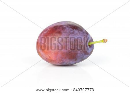 One Whole Fresh Violet-blue Plum Vibrant Moyer Variety Isolated On White