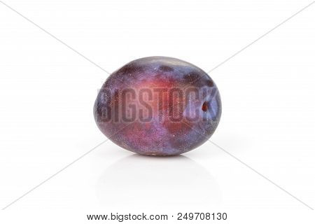 One Whole Fresh Violet-blue Plum Vibrant Moyer Variety Isolated On White