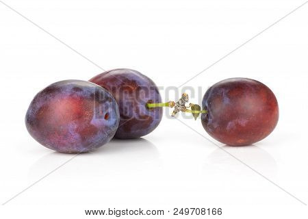 Group Of Three Whole Fresh Violet-blue Plum Vibrant Moyer Variety Isolated On White