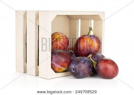 Lot Of Whole Fresh Violet-blue Plum Vibrant Moyer Variety Out Of A Wooden Box Isolated On White