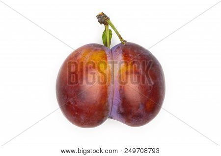 One Whole Fresh Violet-blue Plum Vibrant Moyer Variety Flatlay Isolated On White
