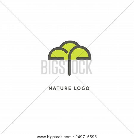 Vector Illustration, Graphic Design Editable Design. Tree, Fir-tree, Wood Oakweb Icon