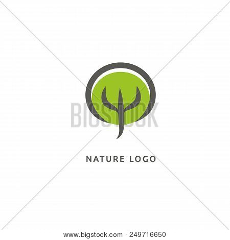 Vector Illustration, Graphic Design Editable Design. Tree, Fir-tree, Wood Oakweb Icon