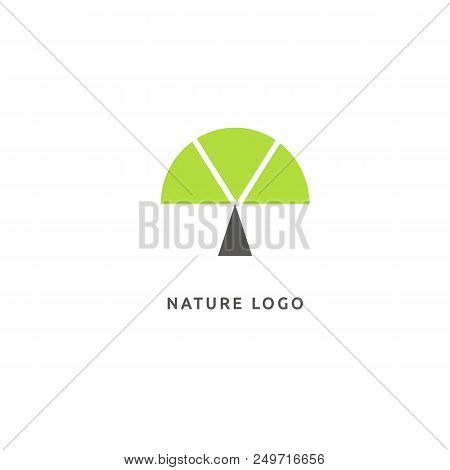 Vector Illustration, Graphic Design Editable Design. Tree, Fir-tree, Wood Oakweb Icon