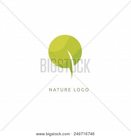 Vector Illustration, Graphic Design Editable Design. Tree, Fir-tree, Wood Oakweb Icon