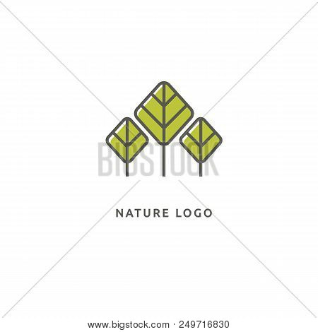Vector Illustration, Graphic Design Editable Design. Tree, Fir-tree, Wood Oakweb Icon