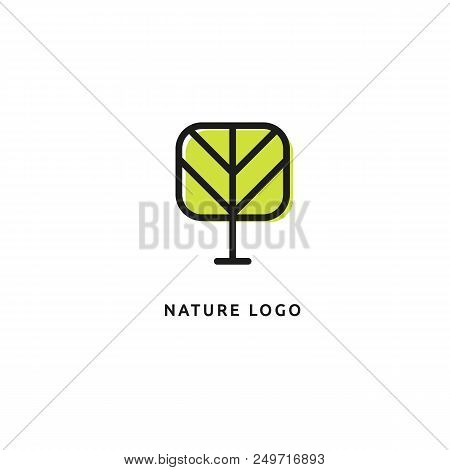 Vector Illustration, Graphic Design Editable Design. Tree, Fir-tree, Wood Oakweb Icon