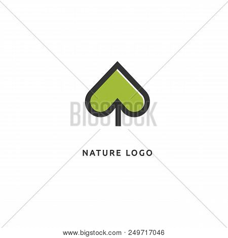 Vector Illustration, Graphic Design Editable Design. Tree, Fir-tree, Wood Oakweb Icon