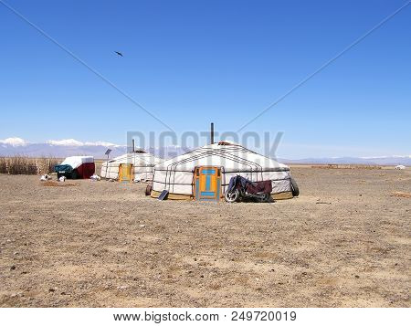 Traditional Dwelling Of Mongolian Nomadic Yurt In May