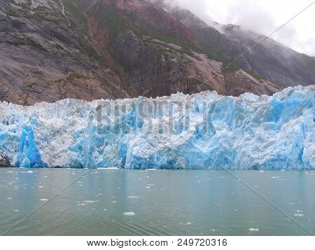 Tracy Arm's Fjord Glacier Terror Wildlife. Southeastern Alaska, Usa