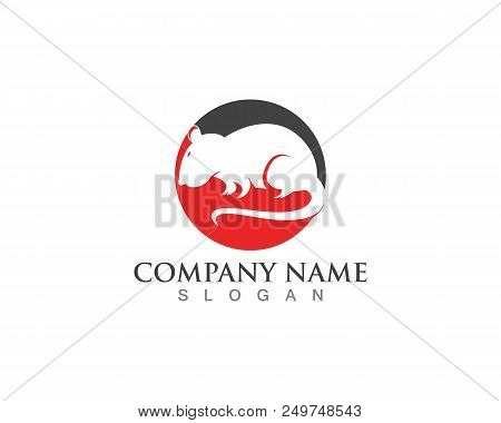 Rat Logo Design Symbol