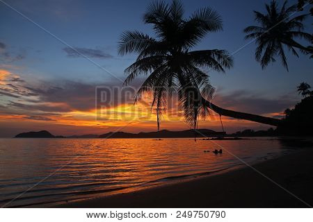 Swing Or Cradle Hang On The Coconut Tree Shadow  Beautiful Sunset At Koh Mak Island Beach Trad Thail