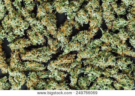 Grinder A Lot Ofx Marijuana, Fresh Buds Of Cannabis Many Weed. Copy Spase Copy-space