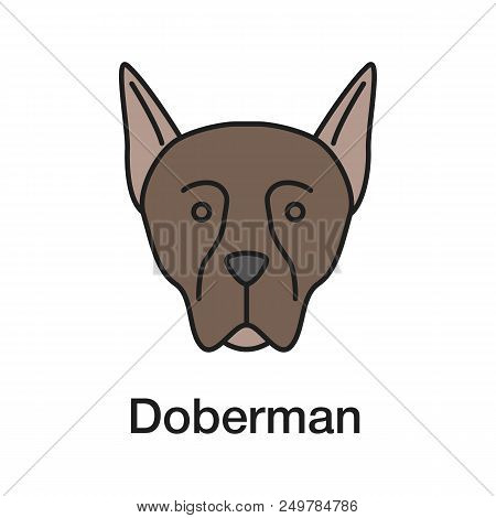 Doberman Pinscher Color Icon. Guardian Dog Breed. Isolated Vector Illustration
