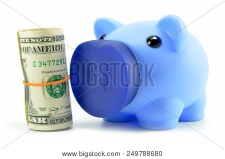 Us Dollarcash Money And Piggy Bank Isolated On White Background