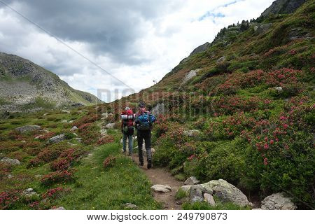 Lagorai Mountain Range In The Eastern Alps In Trentino, Italy
